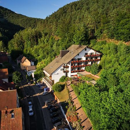 Hotel Die Kleine Blume Erfweiler Екстериор снимка