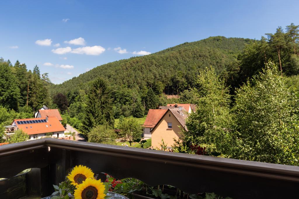 Hotel Die Kleine Blume Erfweiler Екстериор снимка