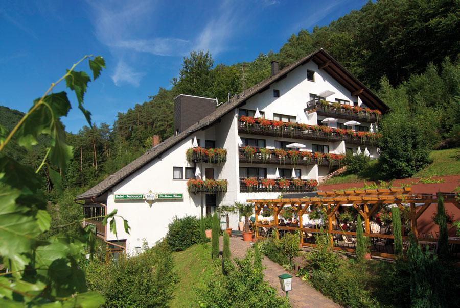 Hotel Die Kleine Blume Erfweiler Екстериор снимка